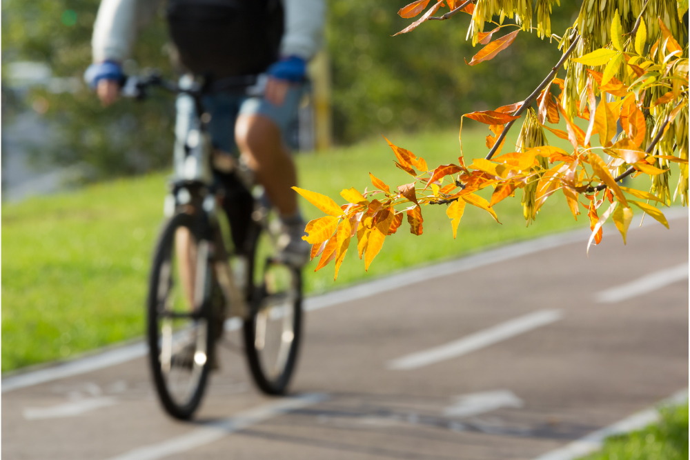 Rozwój ruchu rowerowego w Małopolsce