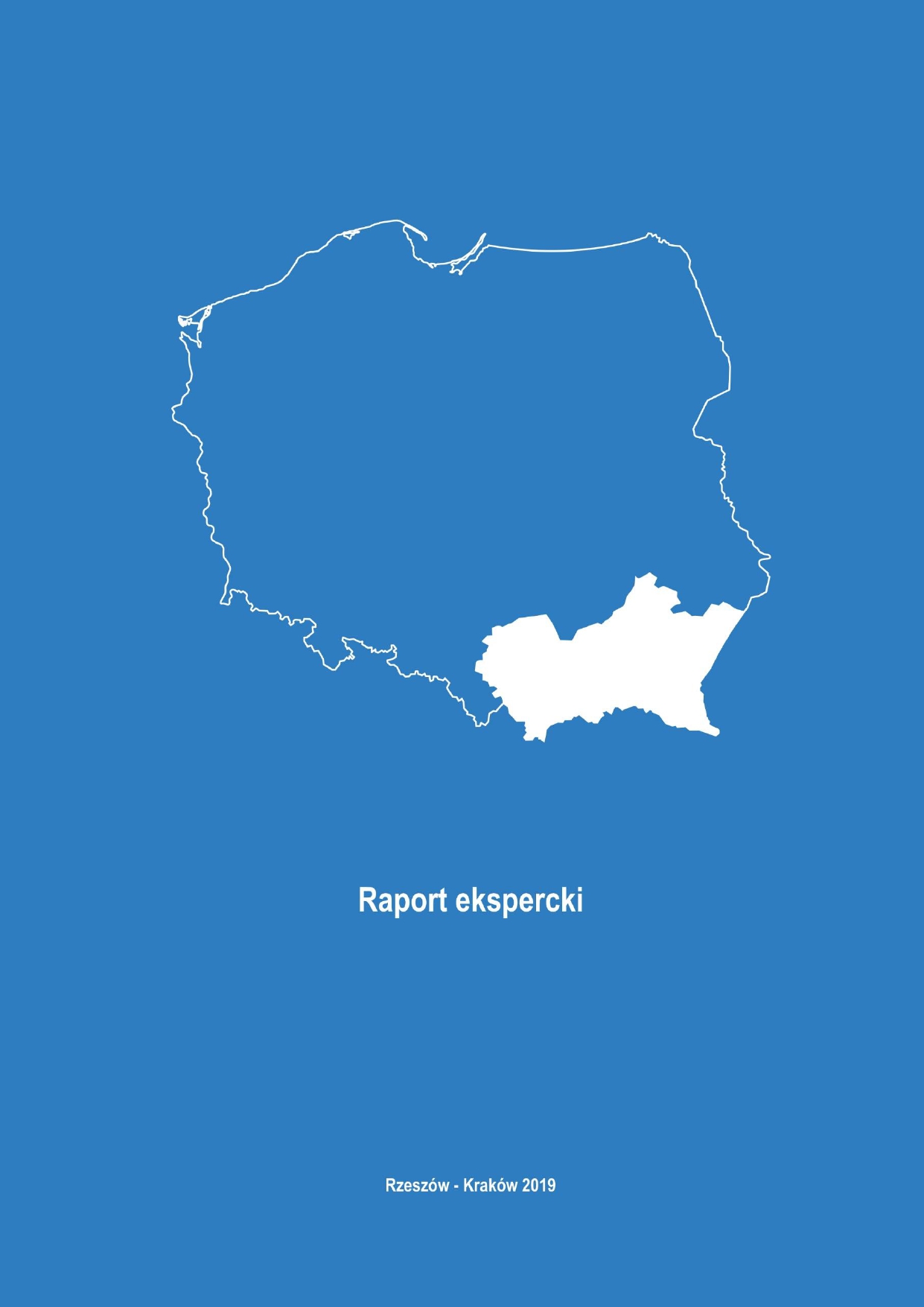 Kondycja społeczno-gospodarcza rodzin w województwach podkarpackim i małopolskim - raport ekspercki