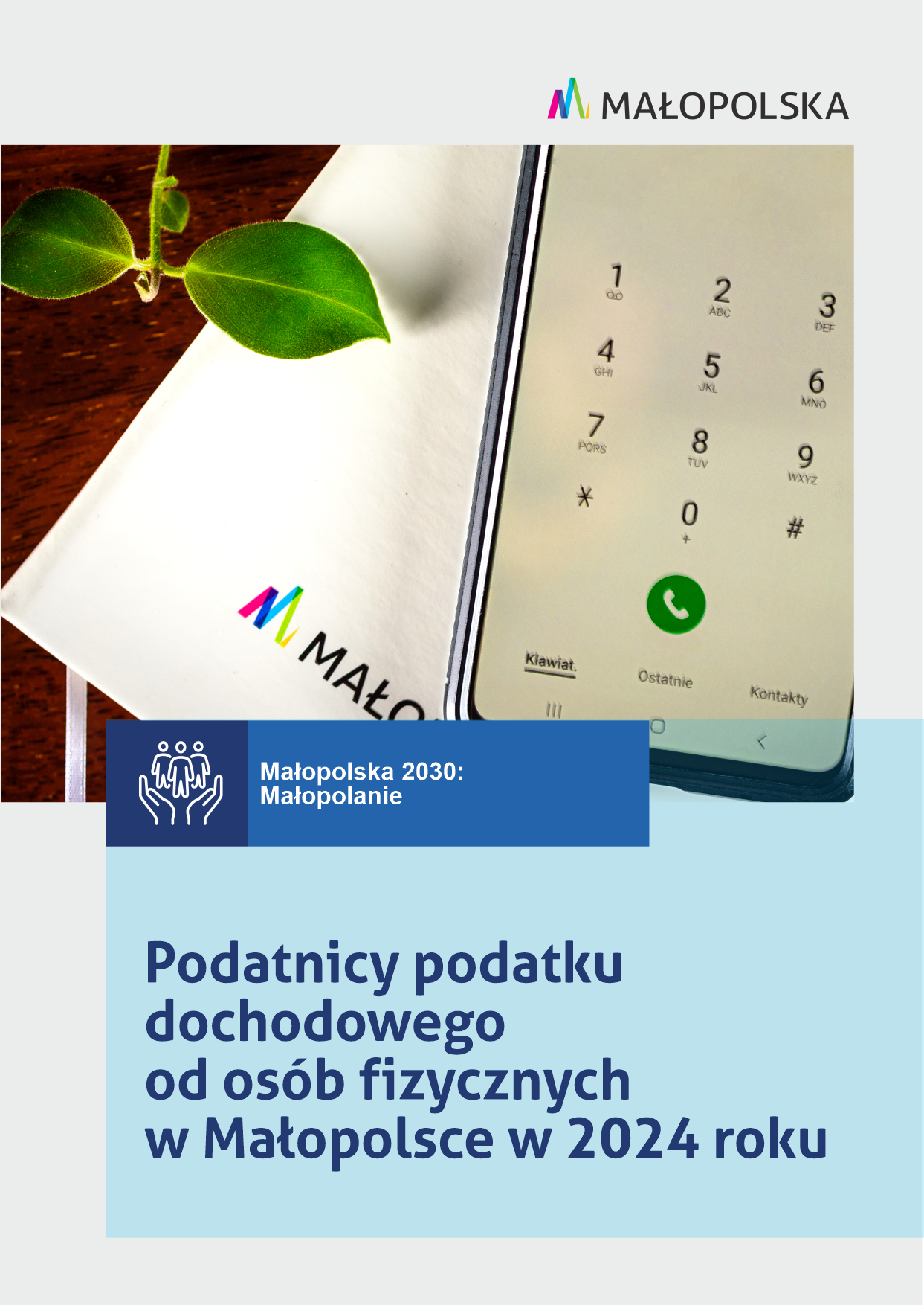 Podatnicy podatku dochodowego od osób fizycznych w Małopolsce w 2024 roku