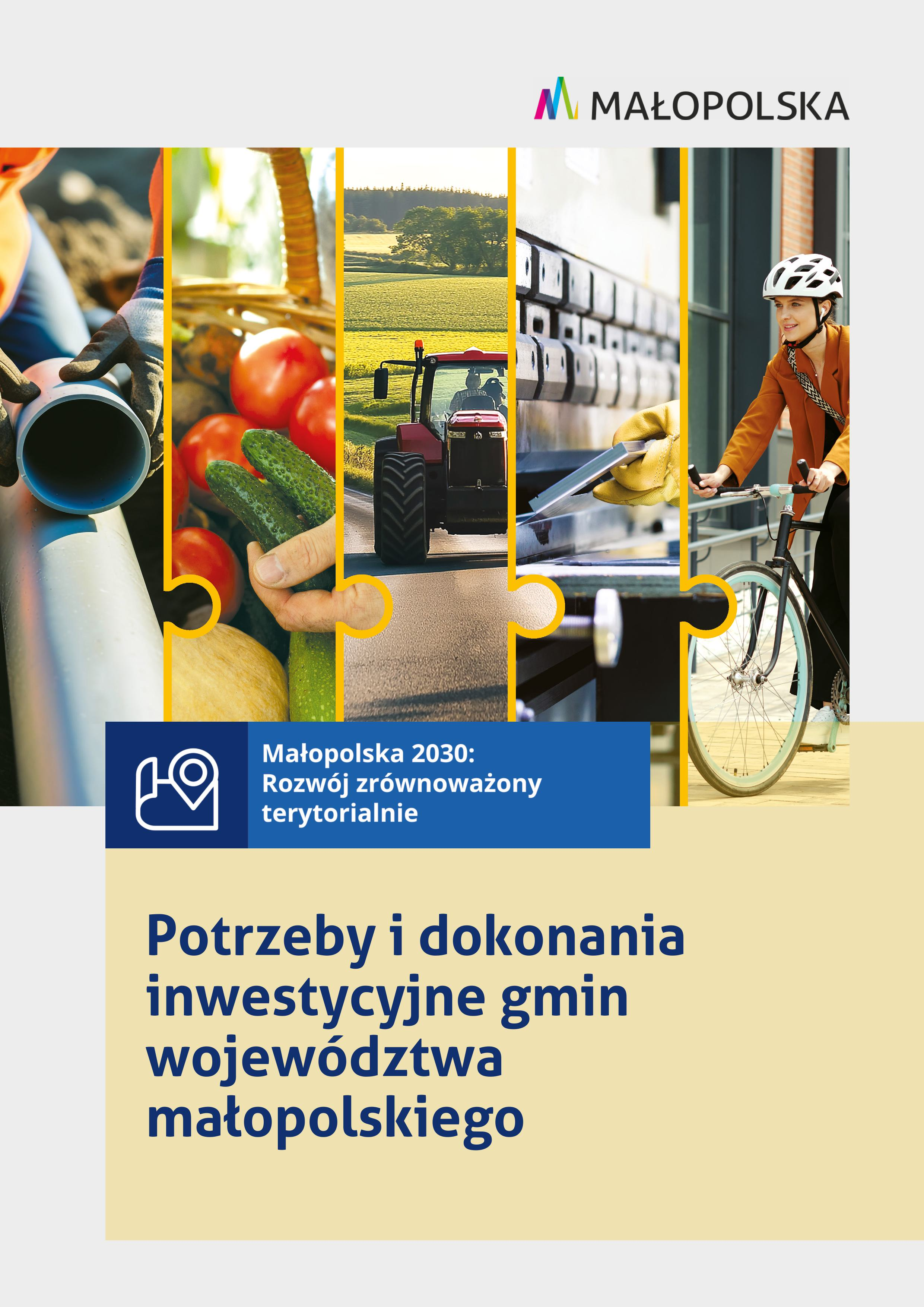 Potrzeby i dokonania inwestycyjne gmin województwa małopolskiego
